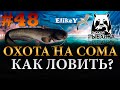 Сом на Minister 2000 • Сборка на Сома • Как и на что ловить? • Река Ахтуба • Русская Рыбалка 4 #48