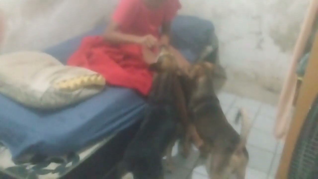 4 de janeiro de 2026