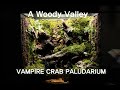 '작은 골짜기가 흐르는 우거진 숲 속' 뱀파이어크랩 팔루다리움 | A Woody Valley Vampire Crab Paludaium | Making A Paludarium