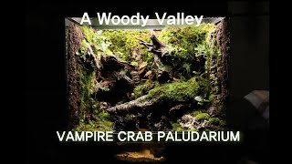 '작은 골짜기가 흐르는 우거진 숲 속' 뱀파이어크랩 팔루다리움 | A Woody Valley Vampire Crab Paludaium | Making A Paludarium