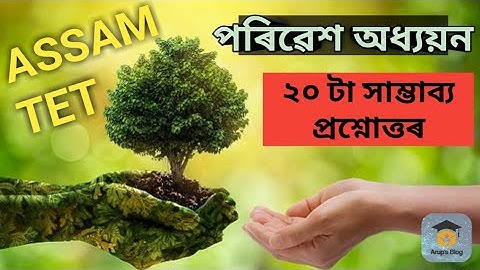 Environmental studies || assam tet 2021|| assam tet preparation || Important questions and answers