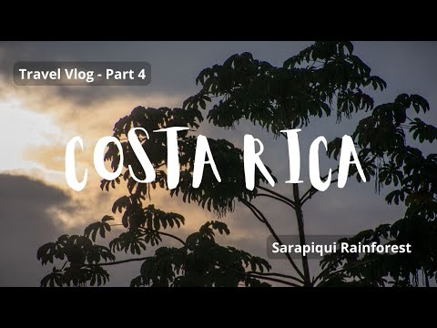 Costa Rica Travel Vlog - Part 4 (Sarapiqui Rainforest)