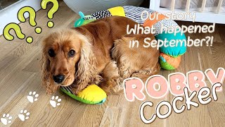 What happened to our dog in September 🐶🧡 Why we disappeared? We are happy now 🐾 by Robby Cocker 2,832 views 5 months ago 2 minutes, 59 seconds