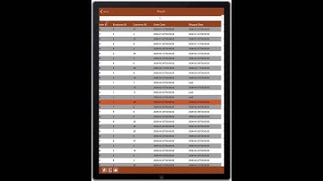 AccessProg - Microsoft Access Client for iPhone and iPad