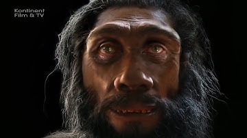 Decentralisation Chapter One - The Magic of Self-Organisation