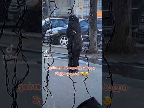 ვისთვის როგორი ახალი წელი თენდება- ბებო რომელიც ახალ წელს ასე ხვდება