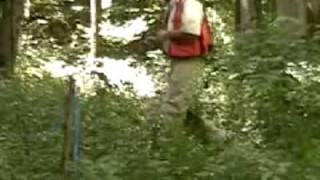 Celebrity Determining Your Pace Count Wealth