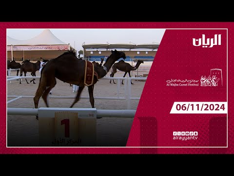 مهرجان الوجبة للإبل   