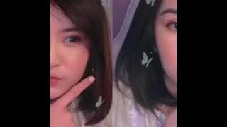 Kumpulan Tiktok BTR Alice & Babyla