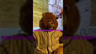 LSU Tigers Mista robear podnuhhhhhhhjh