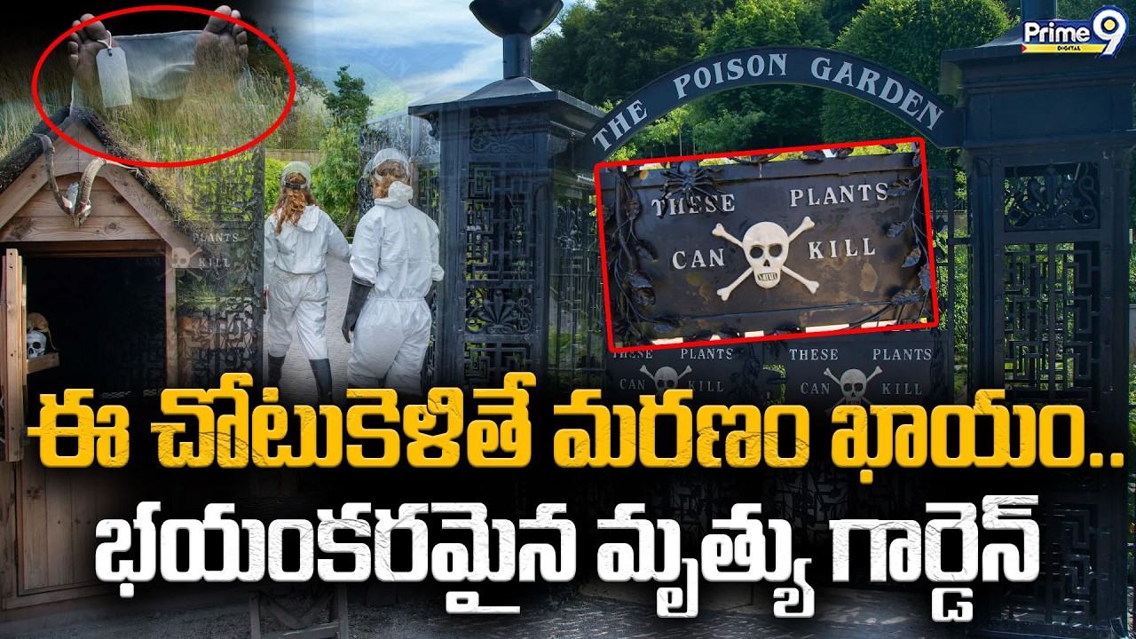 The Alnwick Poison Garden | ఈ చోటుకెళితే మరణం ఖాయం.. భయంకరమైన మృత్యు గార్డెన్ | Viral News | Prime9