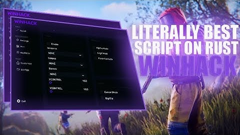 LITERALLY BEST SCRIPT ON RUST | WINHACK