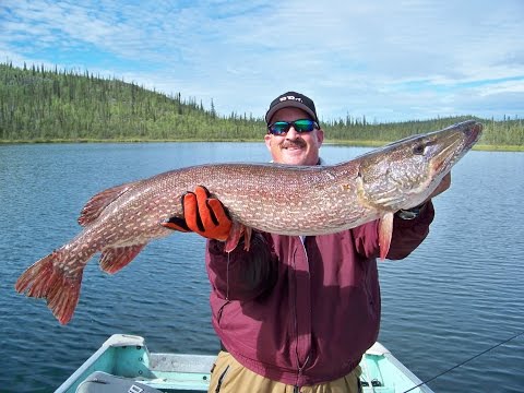 Video: How To Find A Pike