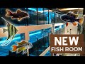 New Fish Room Build Update and Tour!