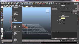 Motion Fields Video