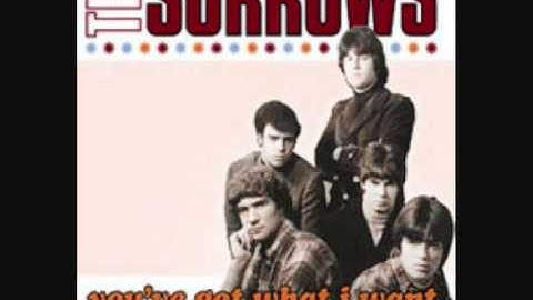 THE SORROWS - You've Got What I Want