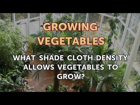 What Shade Cloth Density Allows Vegetables to Grow?