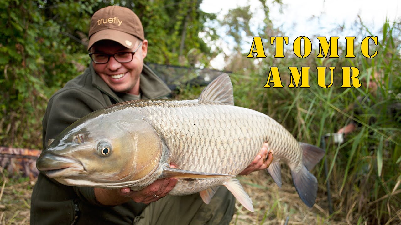 Алексей Фадеев и Виталий Сиротин. Атомный амур (atomic amur)