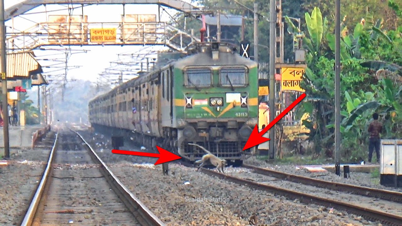 Very risky movements of Teesta Torsa Express Train || Sealdah to New ...