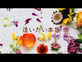 逢いたい本音