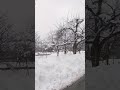 Snowfall #snow #beautyofnature #mountains #republicday