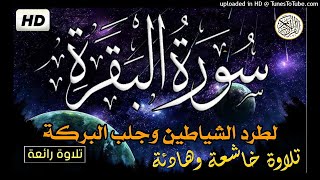AlBaqarah القارئ محمد الكنتاوي رواية ورش 💚 💚 سورة البقرة تلاوة خاشعة جدا