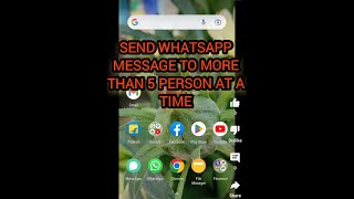 Send WhatsApp message to more than 5 person at a time #whatsapp #shorts #trending #viral #tricks