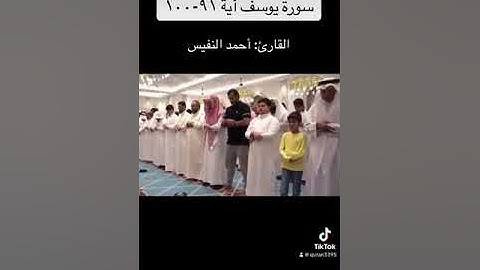 سورة يوسف آية ٩١-١٠٠ / أحمد النفيس