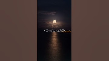 {غلبت الروم} | سورة الروم  #قران_كريم #قرآن #explore