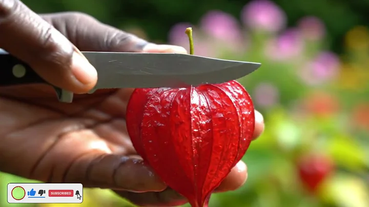 Cutting Glass Fruit Watermelon 🍉 ASMR #ai #aiart #asmrsounds #asmr #aiasmr #satisfyingvideo #trend