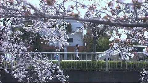 映画「パラノイア/ PARANOIA」 予告編/ Trailer