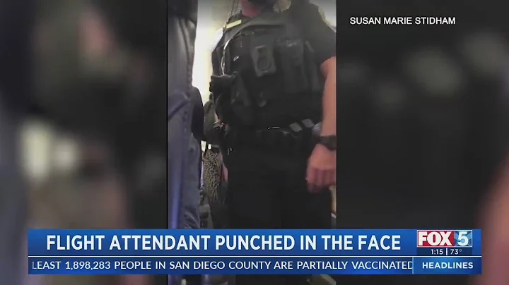 Report: Flight Attendant Punched In The Face On San Diego Flight