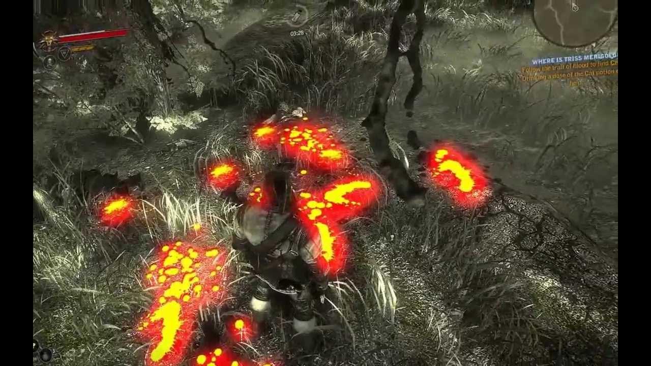 Ведьмак 2 гнезда накеров на карте. Ведьмак 2 тенекост на карте. Ведьмак 2 манекены флотзам. Ведьмак 2 флотзам карта. Ведьмак 2 найти седрика.