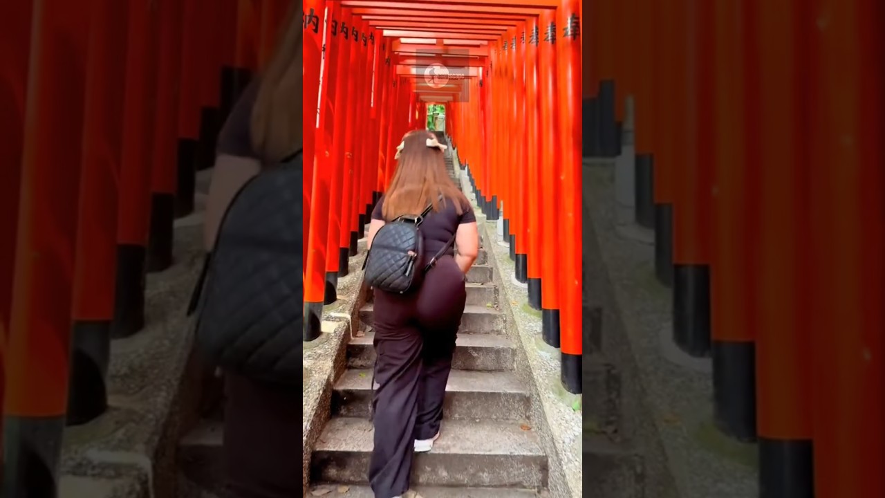 What Torii Gates in Japan Really Mean (Not Just for Photos)