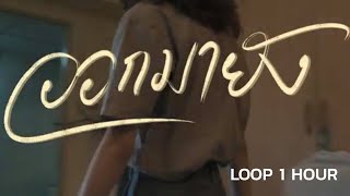 ANATOMY RABBIT - ออกมายัง? | Are you out yet? - LOOP 1 Hour