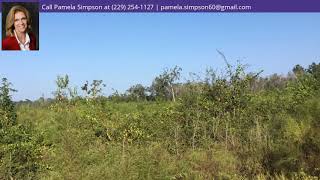 32.75 ac Mt Nebo Church Rd, Bainbridge, GA 39819 - MLS #8526