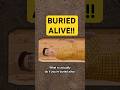 What To ACTUALLY Do If You Are Buried Alive