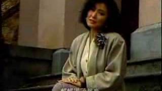 陳淑樺 那一夜你喝了酒 mv