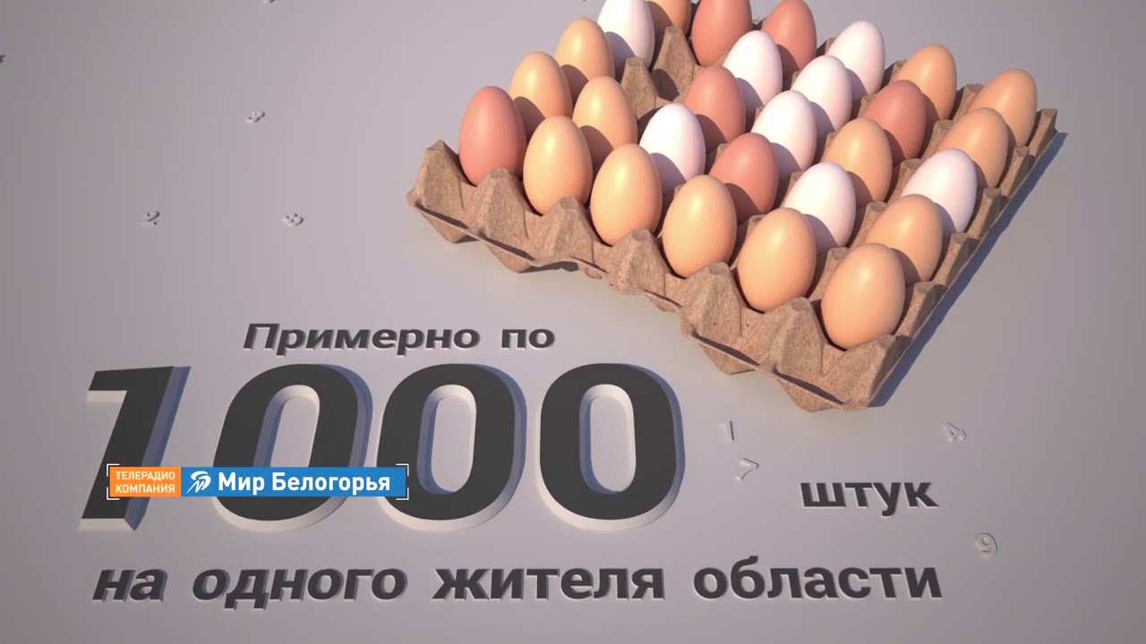 Купить яйцо в белгородской области