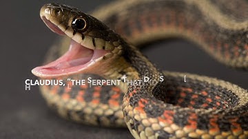 Two examples of allusions in Hamlet