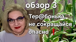 картинка: Тер@бонька, не сокращайся ,опасно❗️