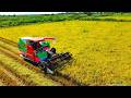 Best Operator Skills Combine Harvester in Cambodia