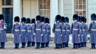 Grenadier Guards Stand Tall as Onlookers Watch in Awe | Changing of the Guard