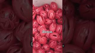 Can You Get High On Nutmeg! Shocking Truth #food #science #viral #shorts