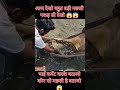 Aaj Dekho ketani badi machli pakd li #agriculture #viral #freefire #farming #fish#fishing