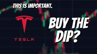 Did you Miss the BOAT on Tesla Stock?