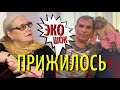 Шукшина пригласила Алибасова в ЗАГС! ЭКО подействовало!