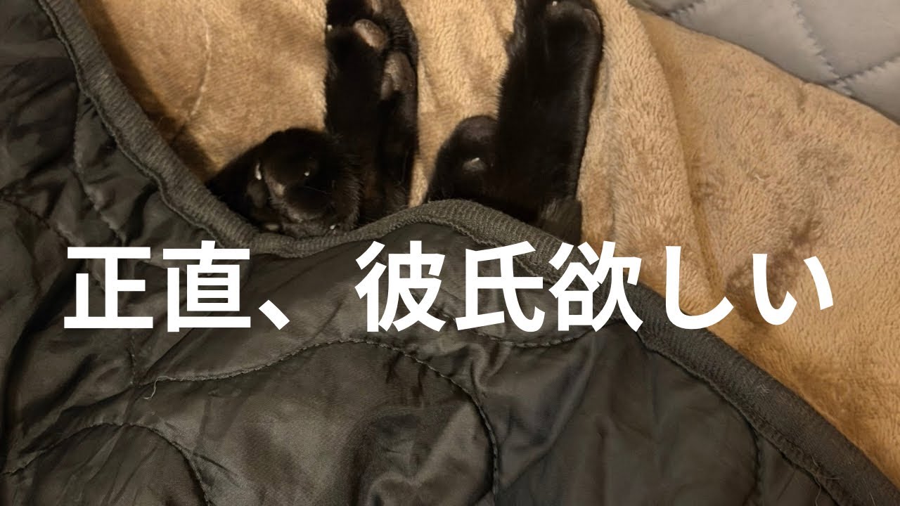 【30代女子】1人も楽。でも正直彼氏が欲しい