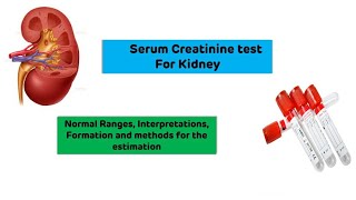 ⁣Creatinine Test (Kidney Function Test) || Dr Amit Maheshwari