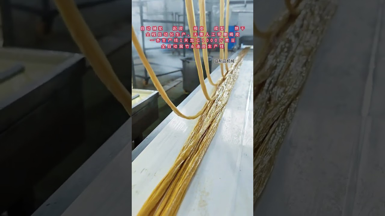 Fully automated production line for making soybean products such as tofu and oilskin